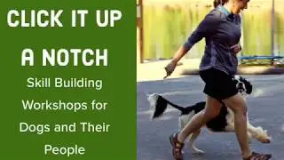 Click It Up a Notch!  Seminars by Rewarded Behavior Continues