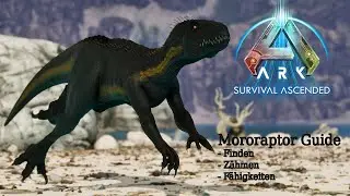 Mororaptor Guide Deutsch - Finden, Z&auml;hmen, F&auml;higkeiten [Moro's Indomitable Duo]