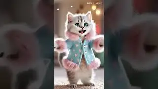 Cute cat dance APT song #apt #aptdance #aptsong #aptcat