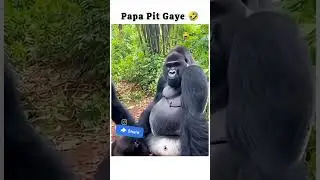 Aaj to papa pit gaye😆🤣