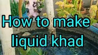 6 January 2026#how to make liquid khad  in Neela drama#@veg vertical Tower DT