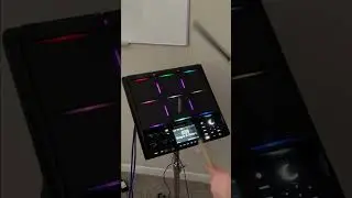 Roland SPD-SX Pro Bongos & Congas Demo