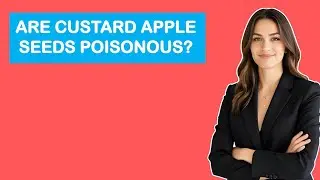 Are Custard Apple Seeds Poisonous?