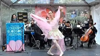 VMO Piano Quintet + Dancing + BC Children Choir @ Cherry Blossom Festival Vancouver 2016