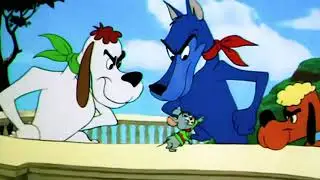 Tom and Jerry help the little gray mouse escape the bullying of the other three dogs!!!