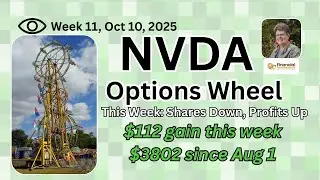 NVDA Options Wheel | Shares Down, Profits Up | Week 11 Update | Saylor Financial Fundamentals