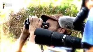 Filming nature