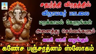 கணேச பஞ்சரத்னம் ஸ்லோகம் சதுர்த்தி விரதத்தில் கேளுங்கள் அனைத்து செல்வங்களும் சேரும் | Apoorva Videos