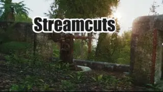 STORY OF THE HOSEN - Streamcuts - Arma 3 Tanoa Life [GERMAN]