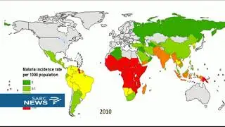 Malaria cases in Africa: Mary Anne Groepe