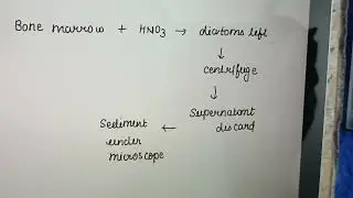 “Diatoms Test in FMT explained simply 🧪 | MBBS Forensics” must know FMT VIVA QUESTION