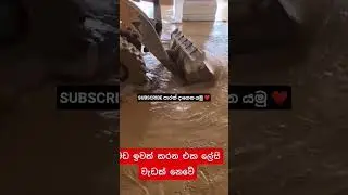 කොහොමද විනාසෙ තරම 😪😪 #help #emergency #disaster #subscribe