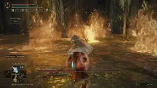 Margit's Shackle on Morgott, the Omen King(Sorcery Build) ELDEN RING
