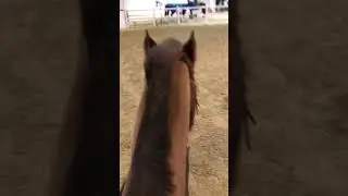 Equitana 2023