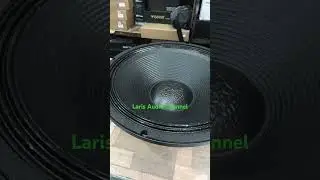 SPEAKER WISDOM W 450 - 43 #SOUN HO #soundsystem #soundhoreg