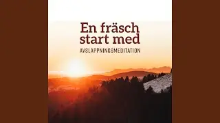 Visualiseringsmeditation