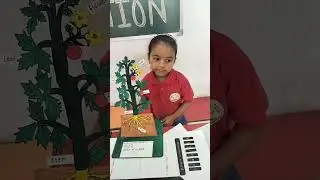 SCIENCE EXHIBITION IN SMIT N JOY PRESCHOOL #trending #viral #science #preschool #kids #learning