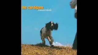 Rise & Shine - The Cardigans