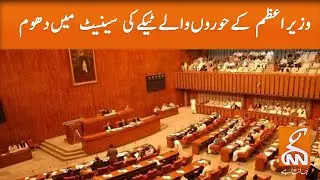 Senate discussed injection that made Imran Khan saw 