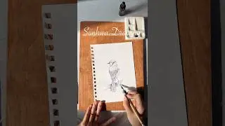 Blue Jay Drawn in ink