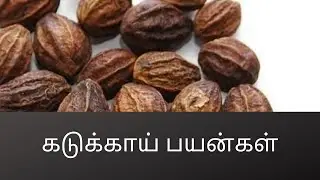 கடுக்காய் பயன்கள் #107(Uses of Kadukkai )_C.K.Nandagopalan