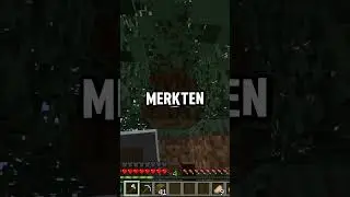 #minecraft Tag 68