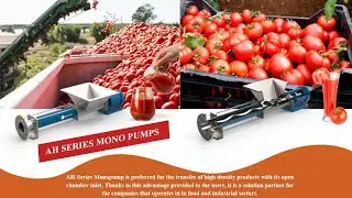 Progressive cavity (mono/single screw) pumps Used in Food and Industry