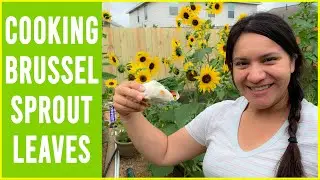 Cooking Brussel Sprout Leaves | Garden Tacos & EPIC FAIL leaf chips