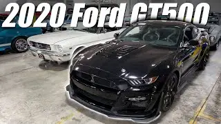 2020 Ford Mustang GT500 Carbon Fiber Track Pack For Sale Vanguard Motor Sales #3190