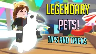 How to get LEGENDARY PETS more often! 5 tips and tricks
