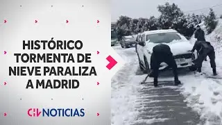 La histórica tormenta de nieve que paraliza a Madrid: Las consecuencias de la Borrasca Kristin
