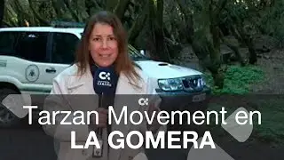 Agentes forestales en La Gomera impiden el 'Tarzan Movement' en el Garajonay
