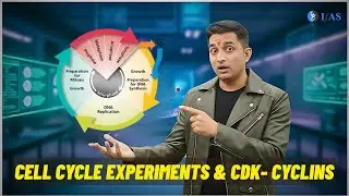 Cell Cycle Experiments & CDK-Cyclins - Unit 2 - CSIR Dec 2025 | Emotion 6.0 | Lecture 02 | IFAS