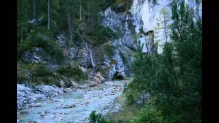 Regina Rau: Wanderung - Scharnitz, Hinterautal, Kastenalm, Halleranger - Herbst 2010
