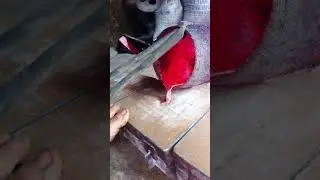 #shoets 🔥 Watch This Jaw-Dropping Red-Hot Metal Pour! #yt #365 #trending