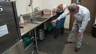 MGK&rsquo;s Professional Cockroach Control Protocol in Commercial Kitchens: Introduction