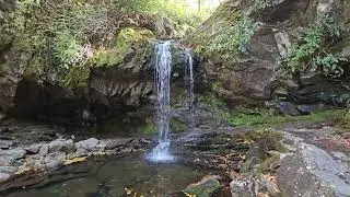 Grotto Falls, TN