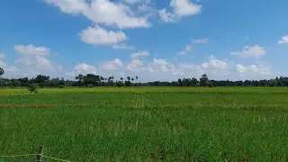 Agriculture