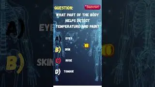 What Part of the Body Detects Temperature and Pain? 🔥🩹 #shorts  #quiz