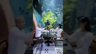 Restaurants On Earth That Feel Unreal You have to add these beautiful restaurants to you travel