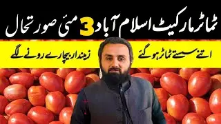 Today Tomato updates | cheap position | down 👎 market | tomato market Islamabad | wholesale auction