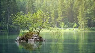 Meditate, Relax & Connect Back With Nature.