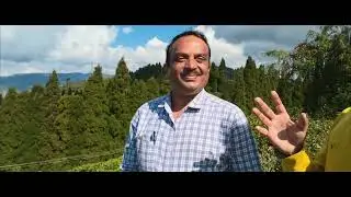 One of the finest Tea Gardens of Darjeeling hills...OKAYTI TEA ESTATE #darjeelingtea #tea #tealover