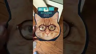 The cutest pet glasses for cheap...run! #cutedogs #funny #doglife #dogs
