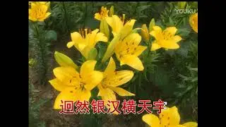 則旭法師《楞嚴一笑》