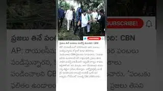 CM Chandrababu review on crop loss with cyclone montha