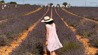 Summer in Provence, Southern France 2025