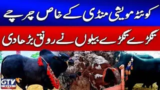 Bakra Eid 2025 | Quetta Cattle Mandi Update | Breaking News
