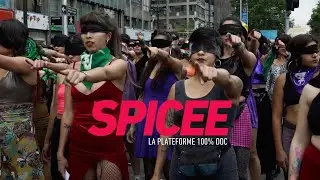 Spicee, la plateforme 100% doc