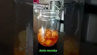 Indian gooseberry, or amla , Amla preserve making  at Ndri #ICAR